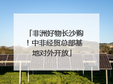 非洲好物长沙购！中非经贸总部基地对外开放